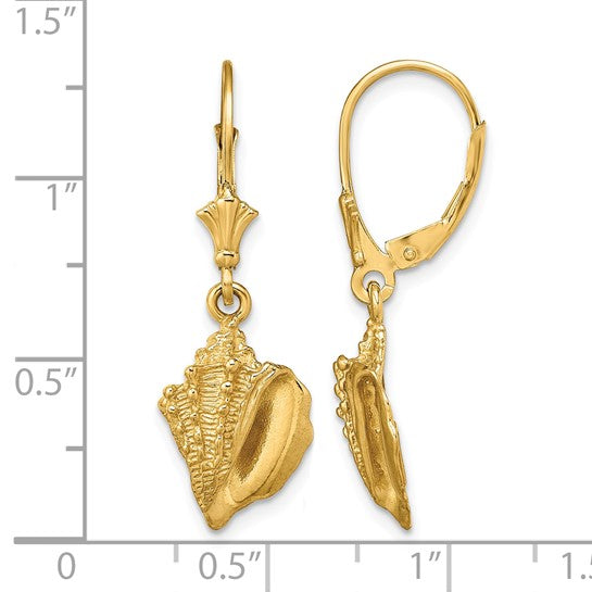 14K Yellow Gold Conch Shell Earrings