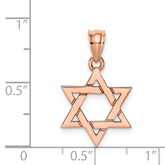 14K White Gold Yellow Gold Rose Gold Star Of David Pendant