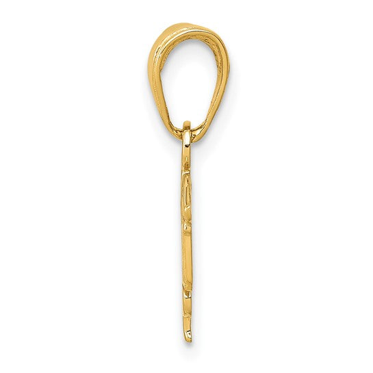 10K Yellow Gold LPN Nurse Pendant