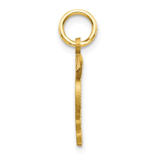 10K Yellow Gold MD Doctor Caduceus Pendant