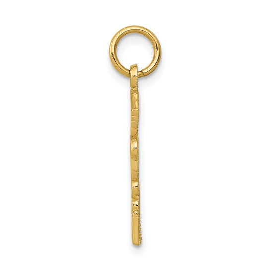 10K Yellow Gold Nurse Practitioner Pendant