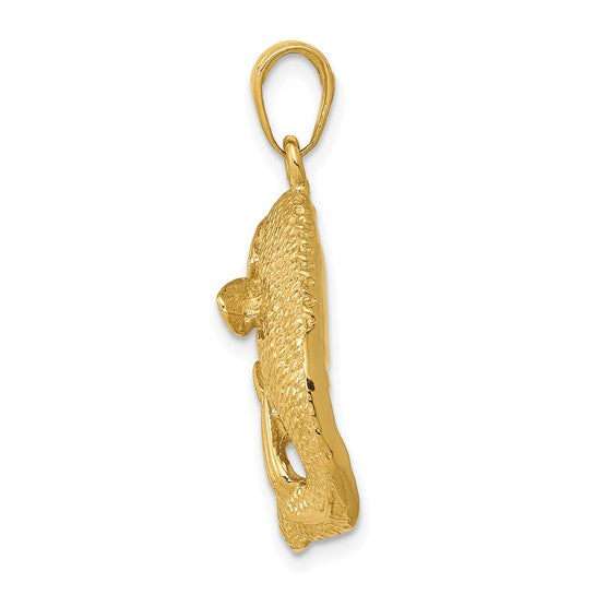 10K Yellow Gold Bass Fish Pendant