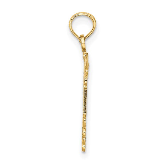 10K White/Yellow Gold RN Nurse Caduceus Large Pendant