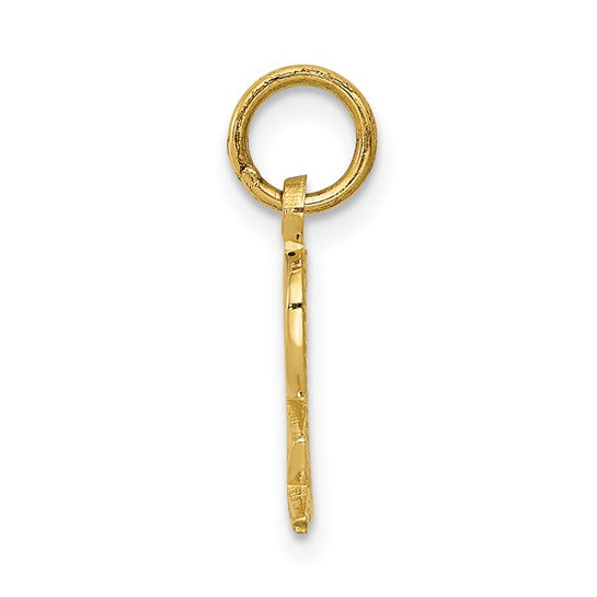 10K Yellow Gold Rx Pharmacist Gold Pendant