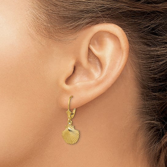 14K Yellow Gold Sea Shell Scallop Earrings
