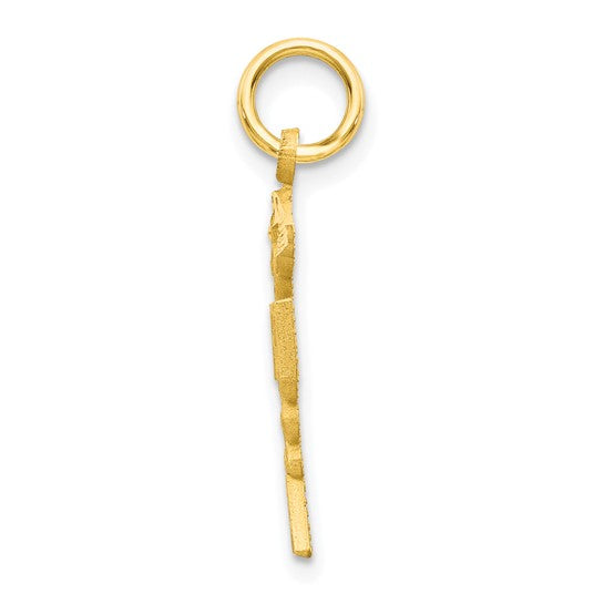 10K Yellow Gold RNA Caduceus Pendant