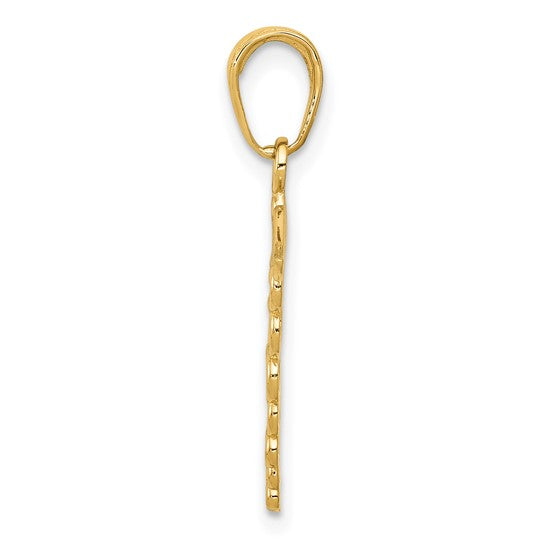 10K White/Yellow Gold Medical Caduceus Pendant