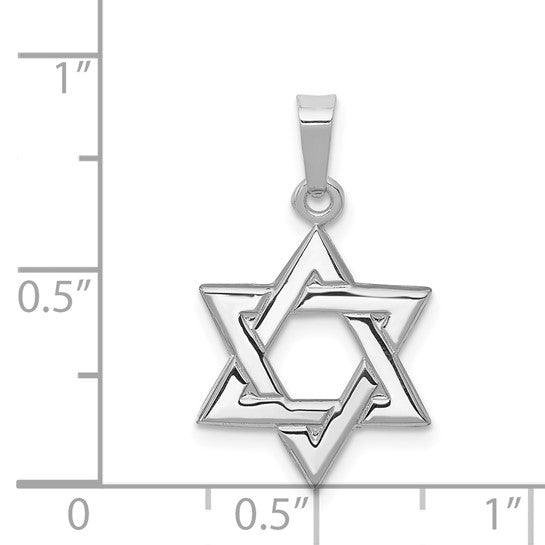 14K White Gold Yellow Gold Rose Gold Star Of David Pendant