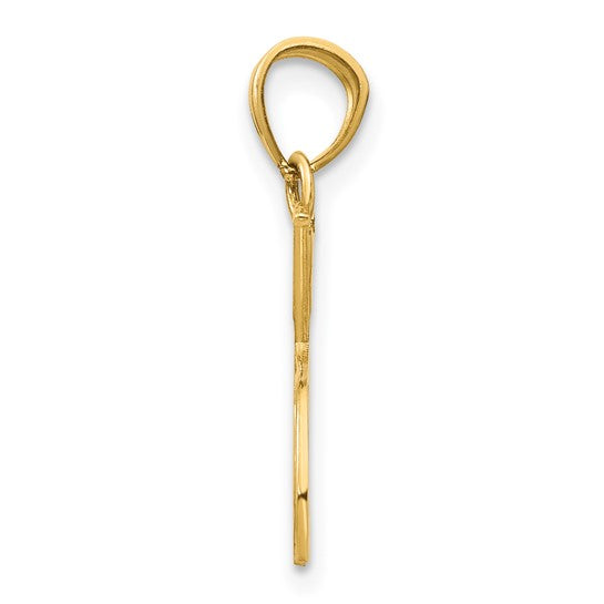 14K Yellow/White Gold Tennis Racquets Pendant