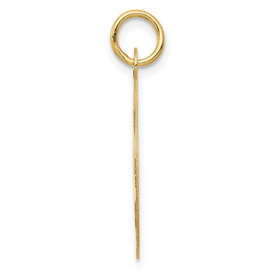 14K Yellow Gold Paramedic Disk Pendant