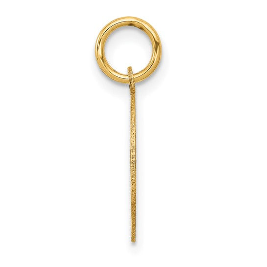14K Yellow Gold EMT Disk Charm