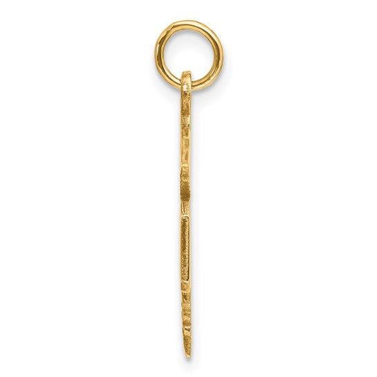 14K Yellow Gold MD Medical Doctor Winged Caduceus Pendant