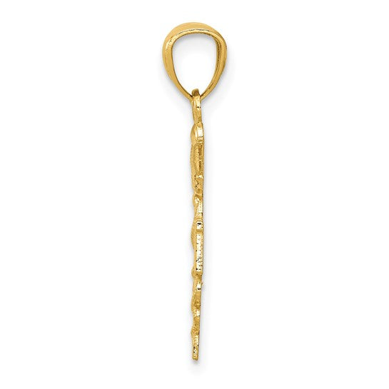14K Yellow Gold Registered Nurse RN Caduceus Pendant